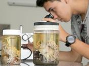 Ciencia, arte cuentos museos