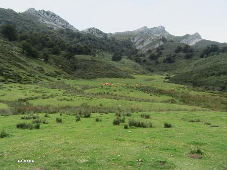 Taranes-Foz de la Escalada-Daón-Piagüé-Alto los Foyos-Entregüé-La Bufona