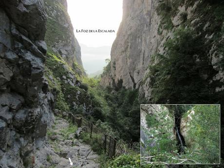 Taranes-Foz de la Escalada-Daón-Piagüé-Alto los Foyos-Entregüé-La Bufona