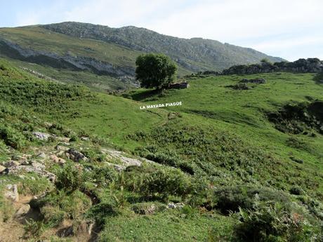 Taranes-Foz de la Escalada-Daón-Piagüé-Alto los Foyos-Entregüé-La Bufona