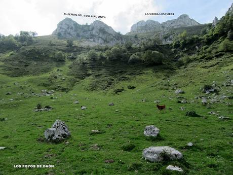 Taranes-Foz de la Escalada-Daón-Piagüé-Alto los Foyos-Entregüé-La Bufona