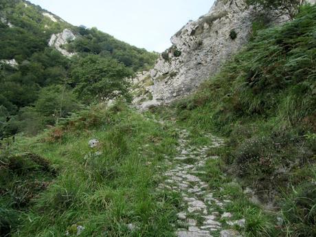 Taranes-Foz de la Escalada-Daón-Piagüé-Alto los Foyos-Entregüé-La Bufona