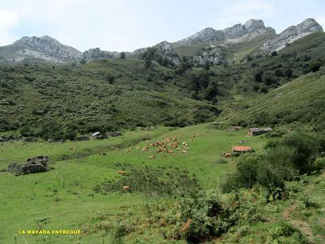 Taranes-Foz de la Escalada-Daón-Piagüé-Alto los Foyos-Entregüé-La Bufona