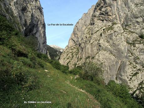 Taranes-Foz de la Escalada-Daón-Piagüé-Alto los Foyos-Entregüé-La Bufona