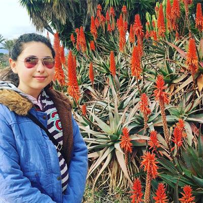 plantas, universidad de alicante, UA