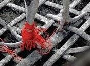 Pelea gallos María Fernanda Ampuero