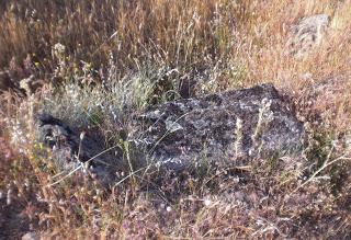 Imagen del mes: Tumbas visigodas de Peñaflor, en Berrocalejo