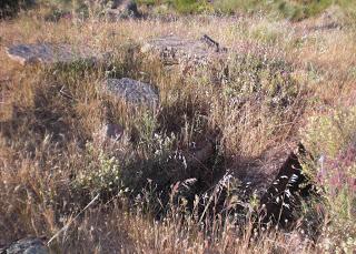 Imagen del mes: Tumbas visigodas de Peñaflor, en Berrocalejo