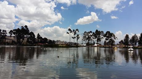 Importancia de Restauración Ambiental de Humedales en Bolivia Laguna de Achocalla 2016_paintshoppro.jpg