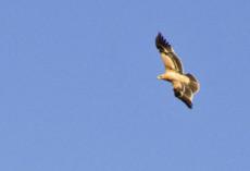 Los contrastes de la Sierra Norte de Guadalajara