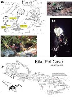 Nuevo dipluro descubierto en Canadá y descrito por un español