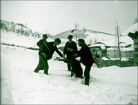 Un jabalí en la nieve