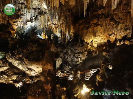 La Cueva de Nerja