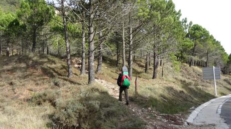 Puig Pelat | Serra de la Mussara. Tarragona