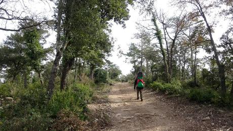 Puig Pelat | Serra de la Mussara. Tarragona