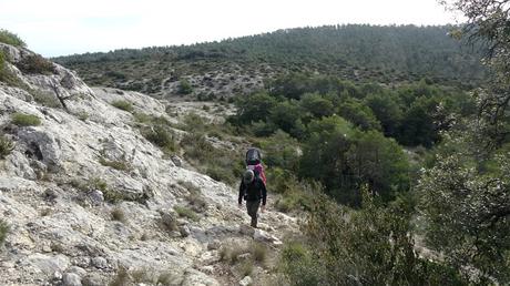 Puig Pelat | Serra de la Mussara. Tarragona