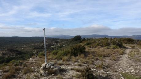 Puig Pelat | Serra de la Mussara. Tarragona