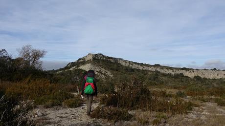 Puig Pelat | Serra de la Mussara. Tarragona