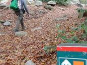 Empedrat Morou Pantà Santa Parc Natural Montseny