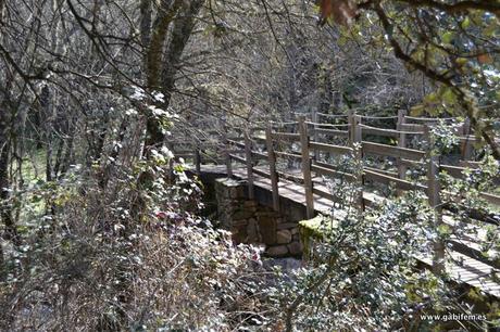 Parque Nacional de Monfragüe