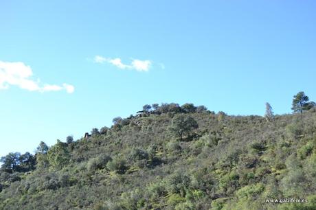 Parque Nacional de Monfragüe