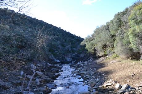 Parque Nacional de Monfragüe