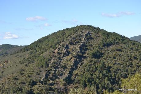 Parque Nacional de Monfragüe