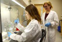 Investigadores encuentran nuevo combo de medicamentos para combatir el cáncer Una nueva investigación encuentra que una nueva combinación de medicamentos puede ser más efectiva contra algunos tipos de cáncer que las terapias anteriores