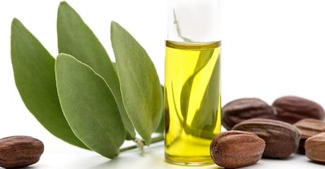 Aceite de Jojoba, Beneficios, Usos y Contraindicaciones