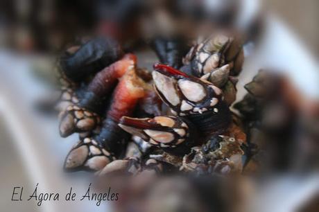 Cómo cocer y comer percebes  
