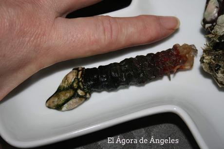 Cómo cocer y comer percebes  