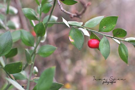 Reto fotográfico 52 semanas | Enero 2019