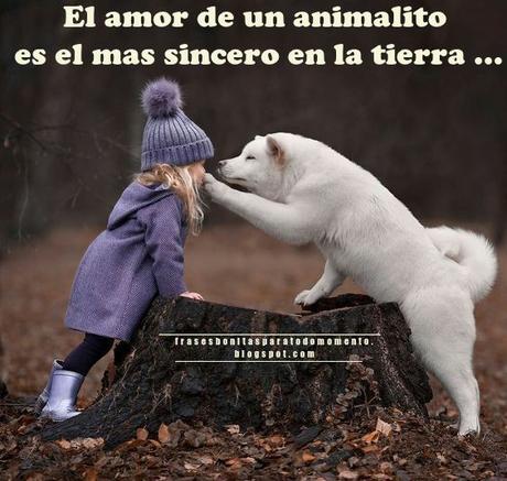 El amor de un animalito es el mas sincero en la tierra ...