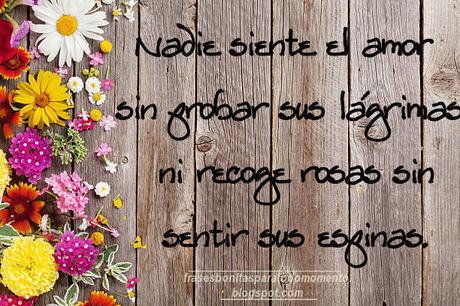 Nadie siente el amor sin probar sus lágrimas ni recoge rosas sin sentir sus espinas.