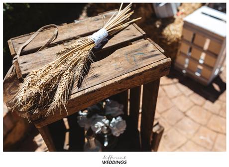 David + Tiana  | Canadá – España