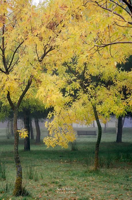 Corrección de color con Photoshop y ajuste de curvas Corrección de color con ajuste de curvas