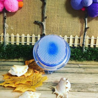 Cepillo Exfoliante Bestidy