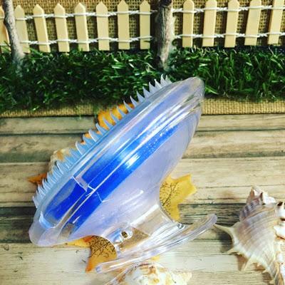 Cepillo Exfoliante Bestidy