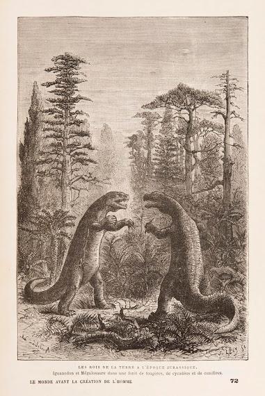 Édouard Riou, inspirador de Verne