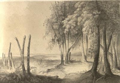 Édouard Riou, inspirador de Verne