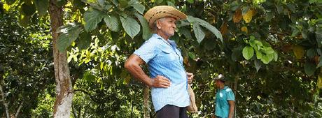 familias restituidas de Chengue