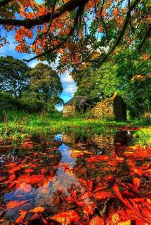 rocío, somos gotas de agua en el río