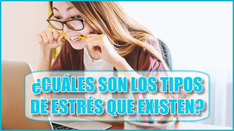 ¿Cuáles son los Tipos de Estrés que existen?