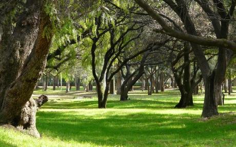 Es “Fake News” que se negará acceso de vehículos al Parque Tangamanga