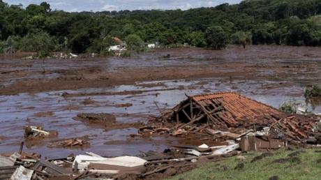 SOS Amazonas para la Vida y la crónica de un desastre anunciado