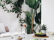 Cómo decorar plantas añadir frescor decoración