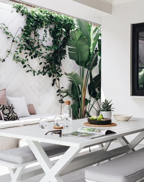 Cómo decorar con plantas y añadir frescor a la decoración