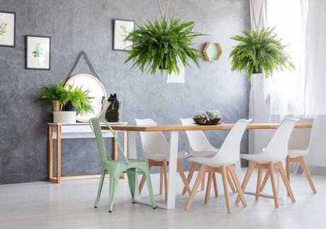 El helecho, la planta de moda en 2019