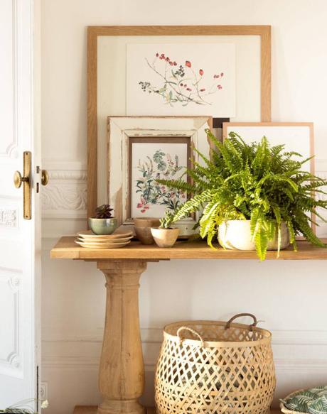 El helecho, la planta de moda en 2019