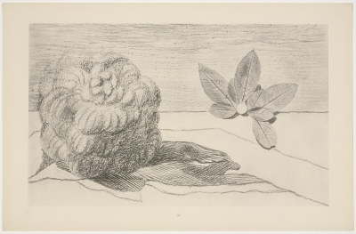 Max Ernst y su “Historia Natural”. Incluye el Prefacio que el artista escribió para su álbum.